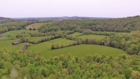 Central Kentucky Farm - Pasture & Woodland - Bethelridge, Ky - image 6