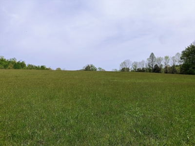 Central Kentucky Farm - Pasture & Woodland - Bethelridge, Ky - image 16