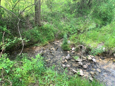 Central Kentucky Farm - Pasture & Woodland - Bethelridge, Ky - image 20
