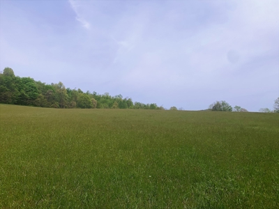 Central Kentucky Farm - Pasture & Woodland - Bethelridge, Ky - image 17