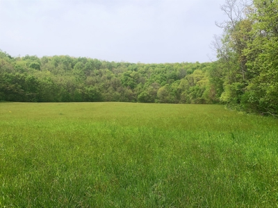 Central Kentucky Farm - Pasture & Woodland - Bethelridge, Ky - image 25