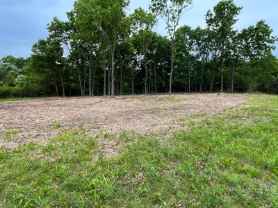 Premier Hunting Tract With Building Site - Macon County, Mo - image 9
