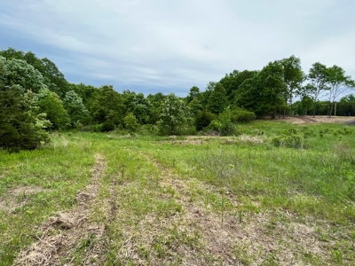 Premier Hunting Tract With Building Site - Macon County, Mo - image 13