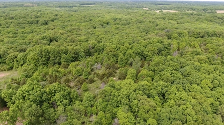 Premier Hunting Tract With Building Site - Macon County, Mo - image 5