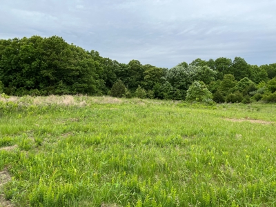 Premier Hunting Tract With Building Site - Macon County, Mo - image 8