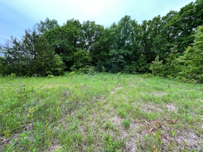Premier Hunting Tract With Building Site - Macon County, Mo - image 10