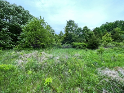 Premier Hunting Tract With Building Site - Macon County, Mo - image 11