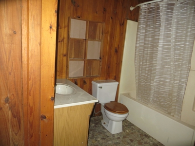 Log Cabin Overlooking River For Sale in Mammoth Spring, AR - image 8