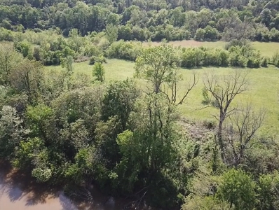 White River Front Building Lot For Sale in Mountain View AR - image 5