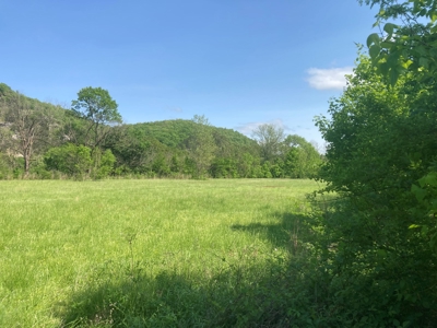 White River Front Building Lot For Sale in Mountain View AR - image 12