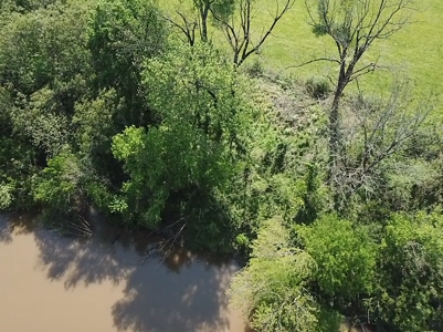 White River Front Building Lot For Sale in Mountain View AR - image 4