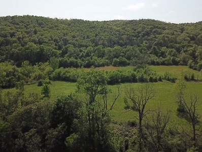 White River Front Building Lot For Sale in Mountain View AR - image 8