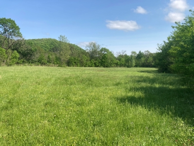 White River Front Building Lot For Sale in Mountain View AR - image 13