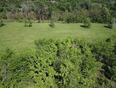 White River Front Building Lot For Sale in Mountain View AR - image 2