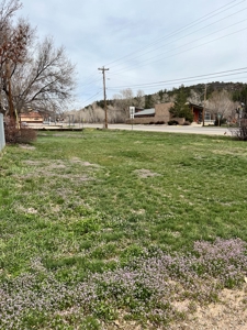 Commercial/ Residential Land For Sale in Dolores, CO! - image 4
