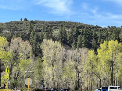 Commercial/ Residential Land For Sale in Dolores, CO! - image 3