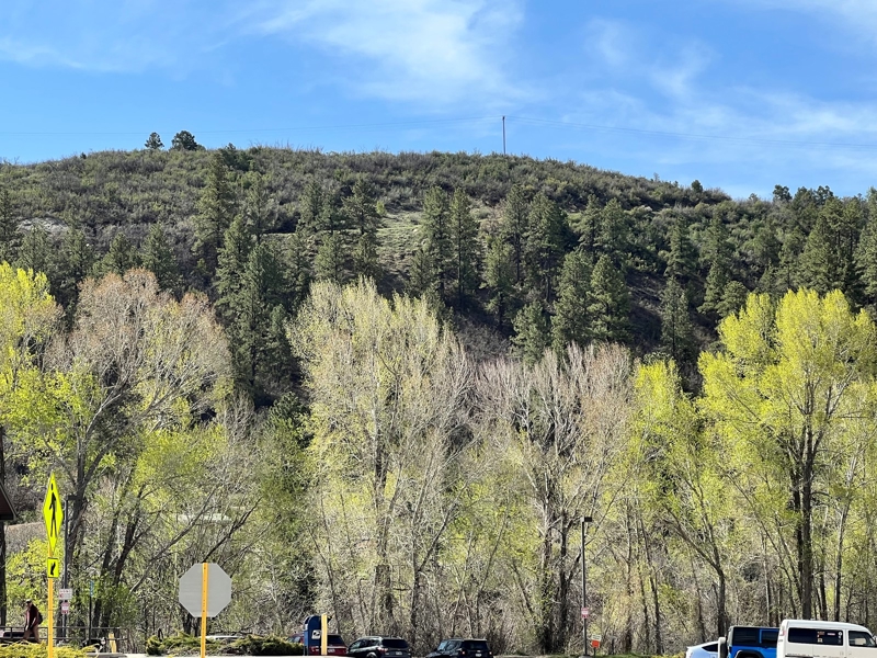 Commercial Property FOR SALE DOLORES