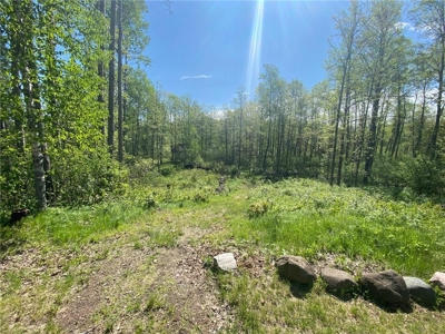 *IMPROVED PRICE* Home & River Access For Sale Finlayson MN - image 45