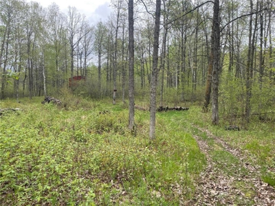 *IMPROVED PRICE* Home & River Access For Sale Finlayson MN - image 49