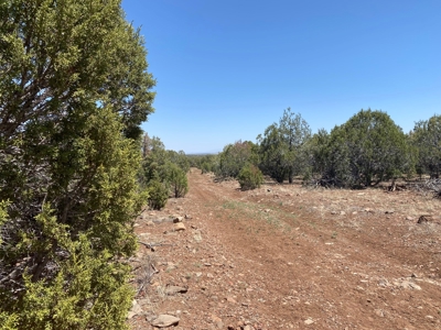 Rural Off Grid Land For Sale in Westwood Ranches - image 4
