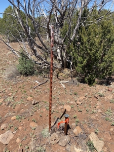 Rural Off Grid Land For Sale in Westwood Ranches - image 3