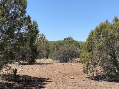Rural Off Grid Land For Sale in Westwood Ranches - image 7