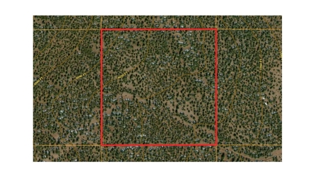 Rural Off Grid Land For Sale in Westwood Ranches - image 2