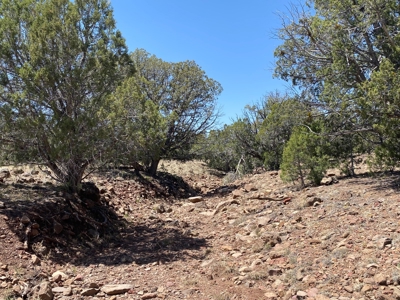 Rural Off Grid Land For Sale in Westwood Ranches - image 6