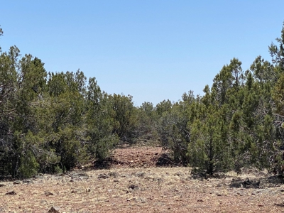Rural Off Grid Land For Sale in Westwood Ranches - image 8