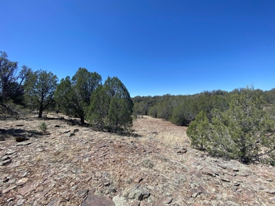 Very Private 40 Acres for Sale Williams AZ, No HOA - image 4