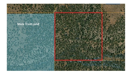 Very Private 40 Acres for Sale Williams AZ, No HOA - image 6