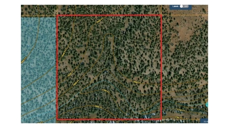 Very Private 40 Acres for Sale Williams AZ, No HOA - image 5
