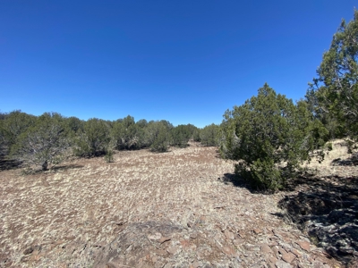 Very Private 40 Acres for Sale Williams AZ, No HOA - image 2