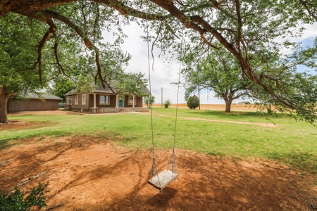 Texas COUNTRY Home in Sudan, TX w/ACREAGE Lamb - image 47