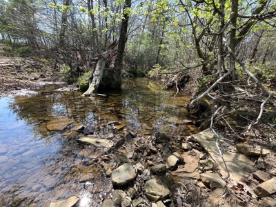 East Tennessee  Hunting and Rec Mountain Property for sale - image 41