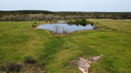East Tennessee  Hunting and Rec Mountain Property for sale - image 47