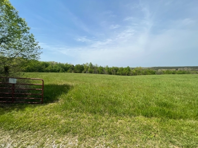 East Tennessee  Hunting and Rec Mountain Property for sale - image 6
