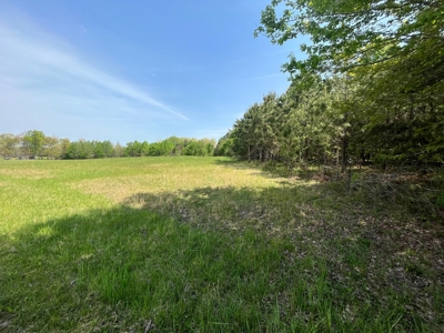 East Tennessee  Hunting and Rec Mountain Property for sale - image 8