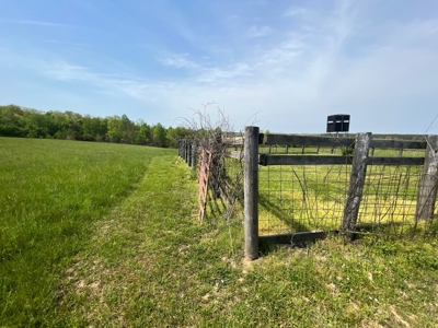 East Tennessee  Hunting and Rec Mountain Property for sale - image 11
