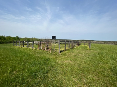 East Tennessee  Hunting and Rec Mountain Property for sale - image 10