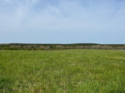 East Tennessee  Hunting and Rec Mountain Property for sale - image 16
