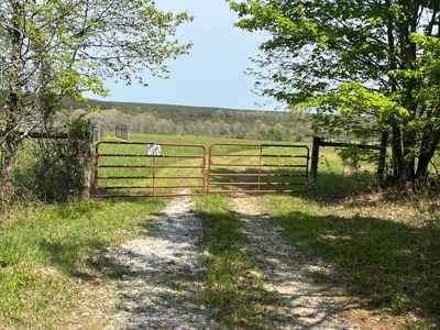 East Tennessee  Hunting and Rec Mountain Property for sale - image 5