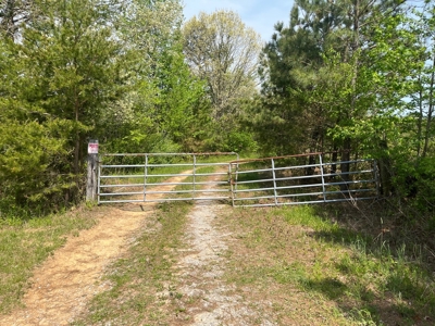 East Tennessee  Hunting and Rec Mountain Property for sale - image 2