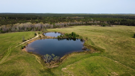 East Tennessee  Hunting and Rec Mountain Property for sale - image 1