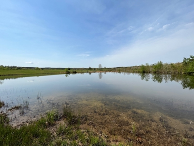 East Tennessee  Hunting and Rec Mountain Property for sale - image 44
