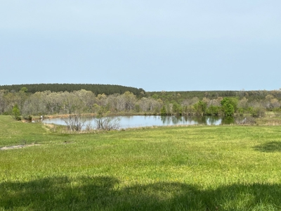 East Tennessee  Hunting and Rec Mountain Property for sale - image 22