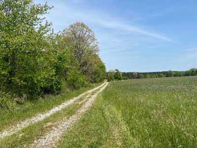 East Tennessee  Hunting and Rec Mountain Property for sale - image 3
