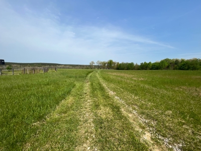East Tennessee  Hunting and Rec Mountain Property for sale - image 9