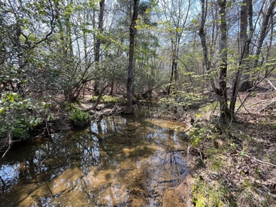 East Tennessee  Hunting and Rec Mountain Property for sale - image 42