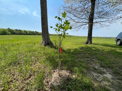 East Tennessee  Hunting and Rec Mountain Property for sale - image 17